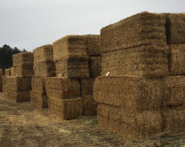 JANUARY HAY AND FIREWOOD AUCTION