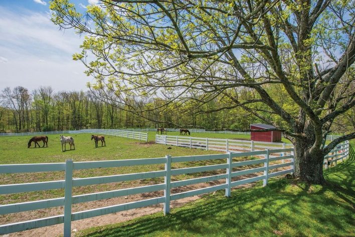 Wonderland Farms - A 127+/- Acres Equestrian Estate 