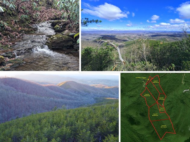 Six Tracts Of Mountain Land - Patrick County VA