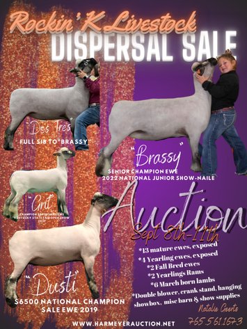 Rockin K Livestock Online Dispersal Sale