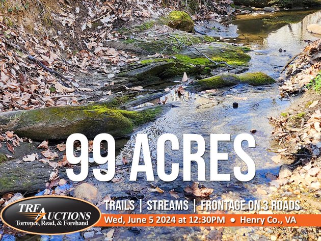 99 Acres in Henry County, VA