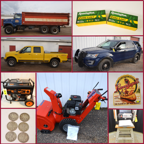 GRAIN TRUCK,  FORD TRUCK AND SUV, NASCAR DIE CAST CARS AND MORE! - Mondovi, WI