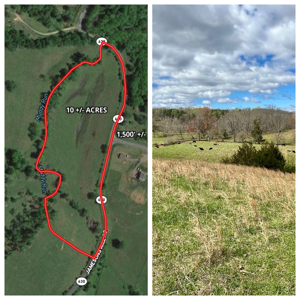 Image for 10 +/- Acre Parcel w/1,500' +/- of Road Frontage & Mountain Views in Culpeper County, VA--SELLING to the HIGHEST BIDDER!!