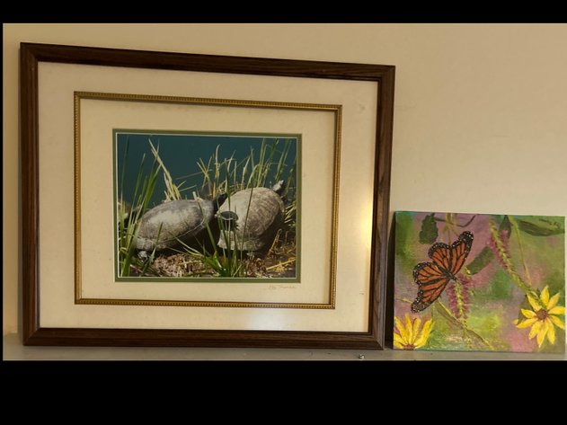 Framed Print with Turtles, Butterfly/Flower Paint by Peg Truman