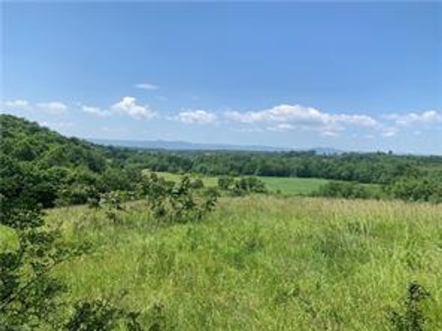 000 Red Brush Road - Land For Sale in Mount Airy