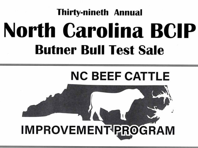 NC BCIP Butner Bull Sale