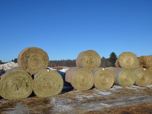 EARLY FEBRUARY HAY AND FIREWOOD AUCTION - Fairchild, WI