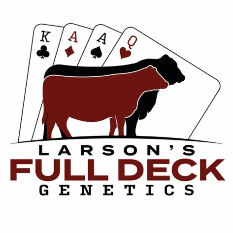 ROYAL FLUSH 2024 BULL & FEMALE SALE - LARSON'S FULL DECK GENETICS - Nelson, WI